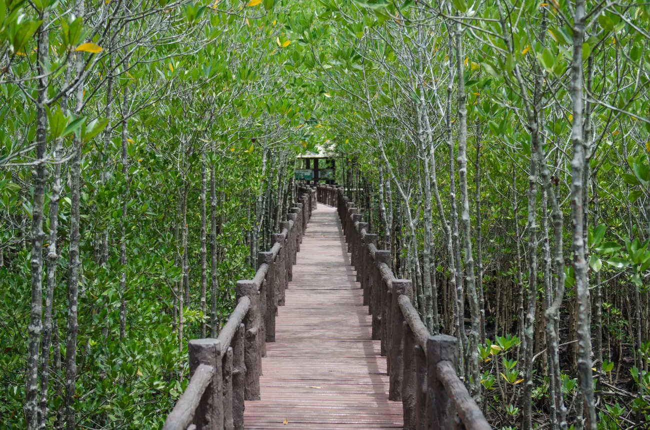 Mu Ko Chumphon National Park, Chumphon