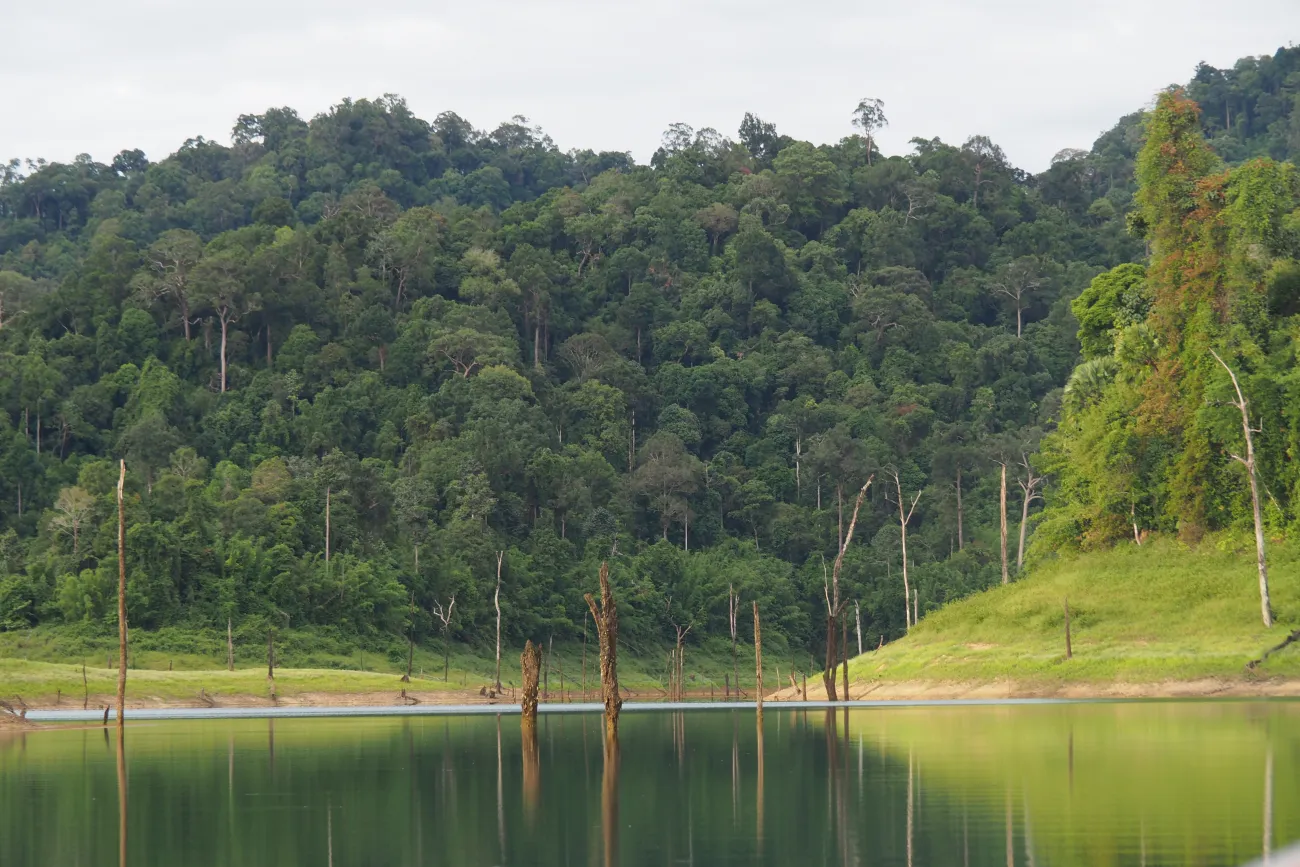 Khao Sok Nationalpark, Thailand