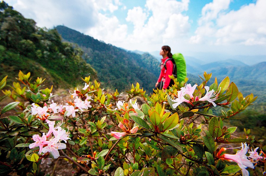 Khun Chae National Park, Chiang Rai, Thailand